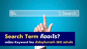 Search Term คืออะไร